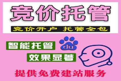 SEM竞价代运营公司成功案例解析
